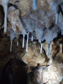 Grotta Perciata